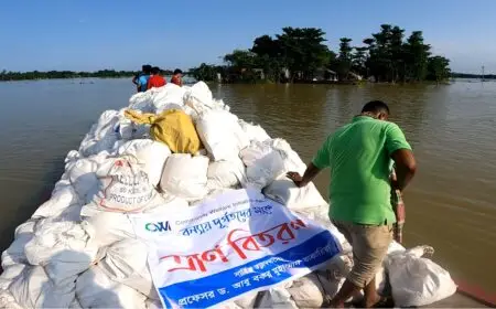 ত্রাণ বিতরণ | ত্রাণ বিতরণ | مشروع مساعدة المنكوبين بالفيضانات